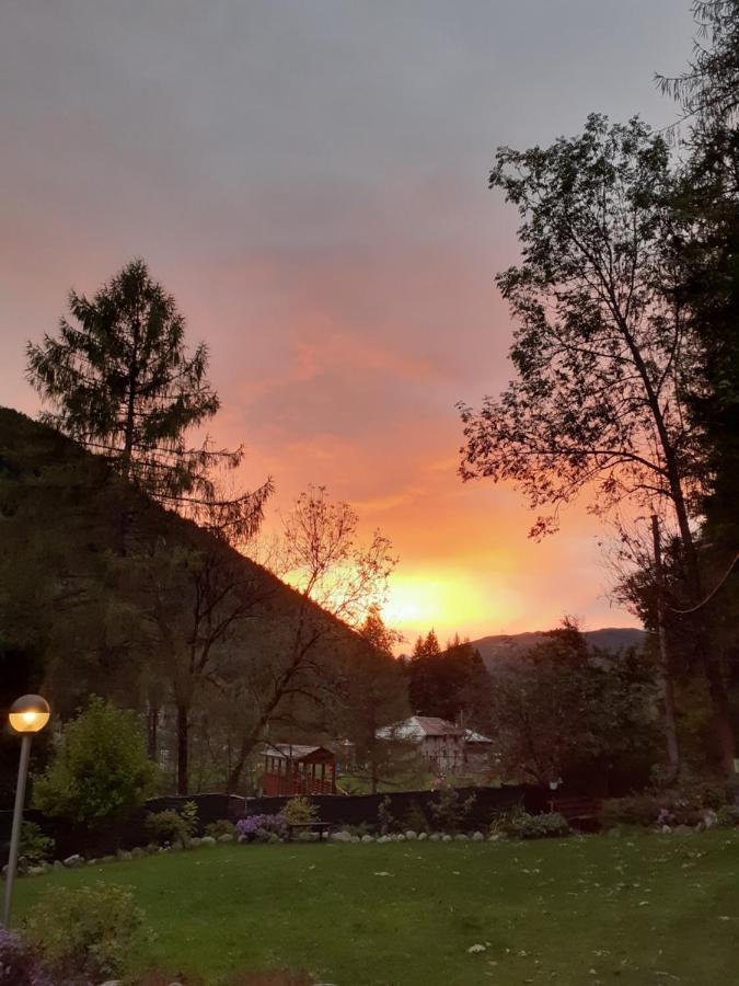 Soggiorno Vacanze Stella Alpina Temù Eksteriør billede