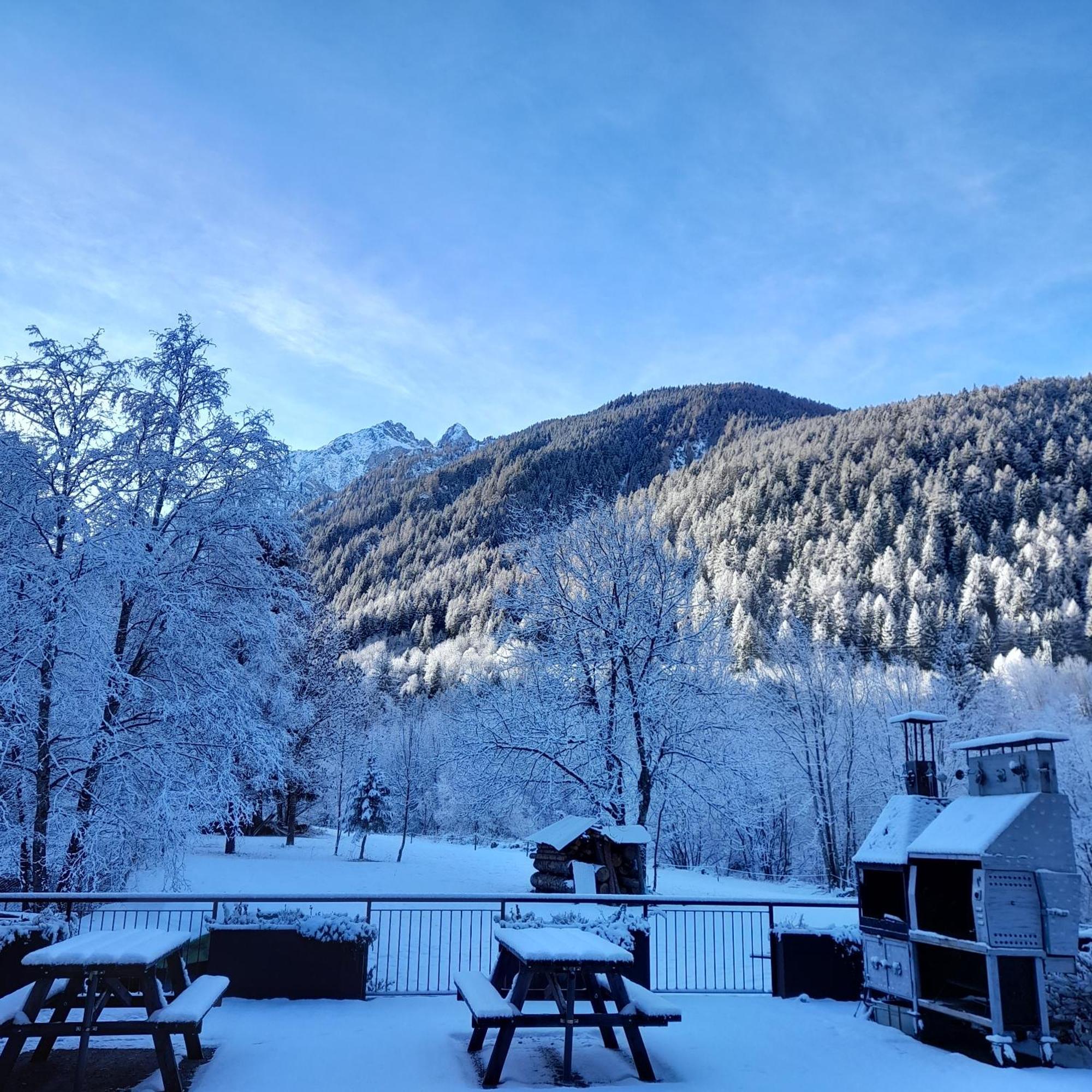 Soggiorno Vacanze Stella Alpina Temù Eksteriør billede