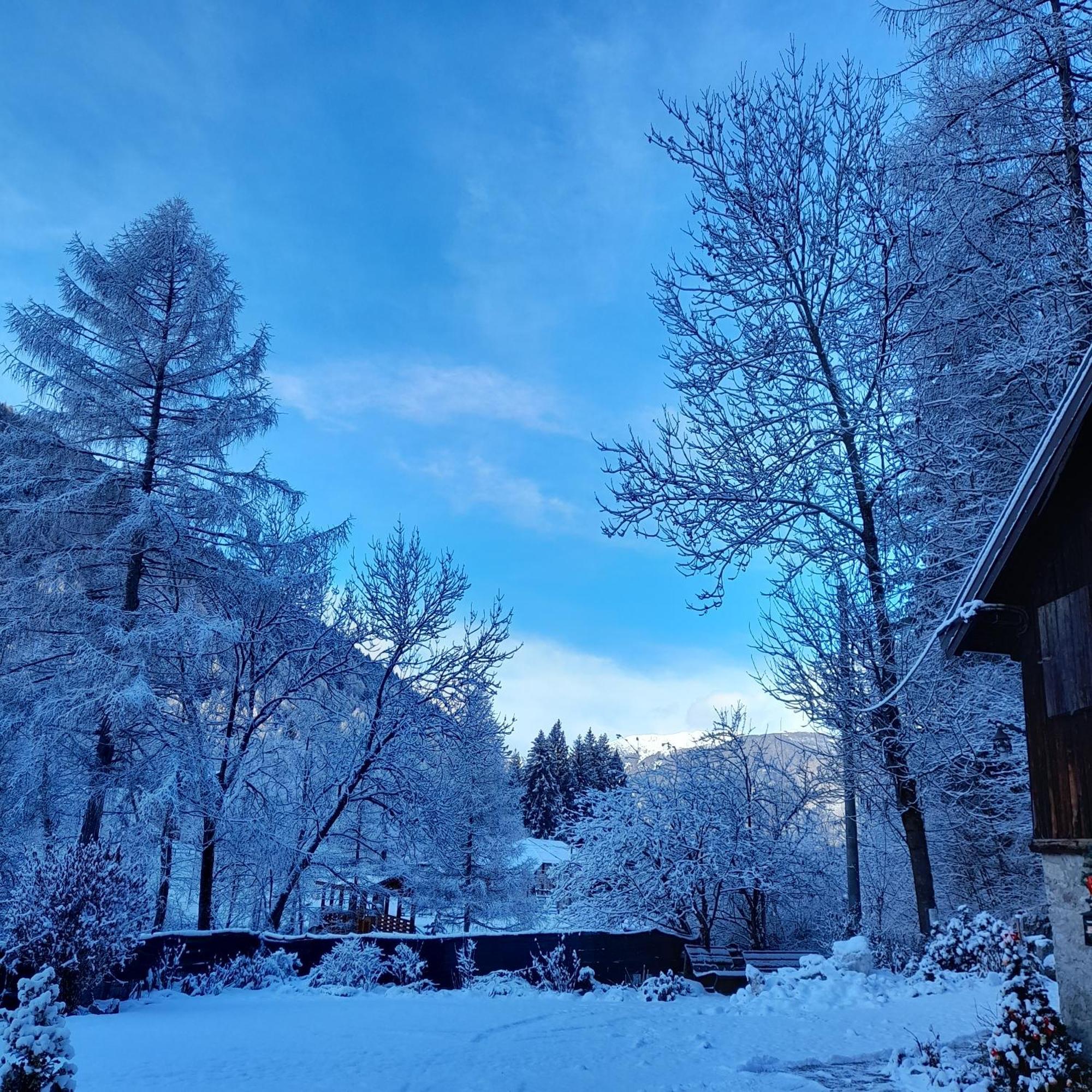 Soggiorno Vacanze Stella Alpina Temù Eksteriør billede