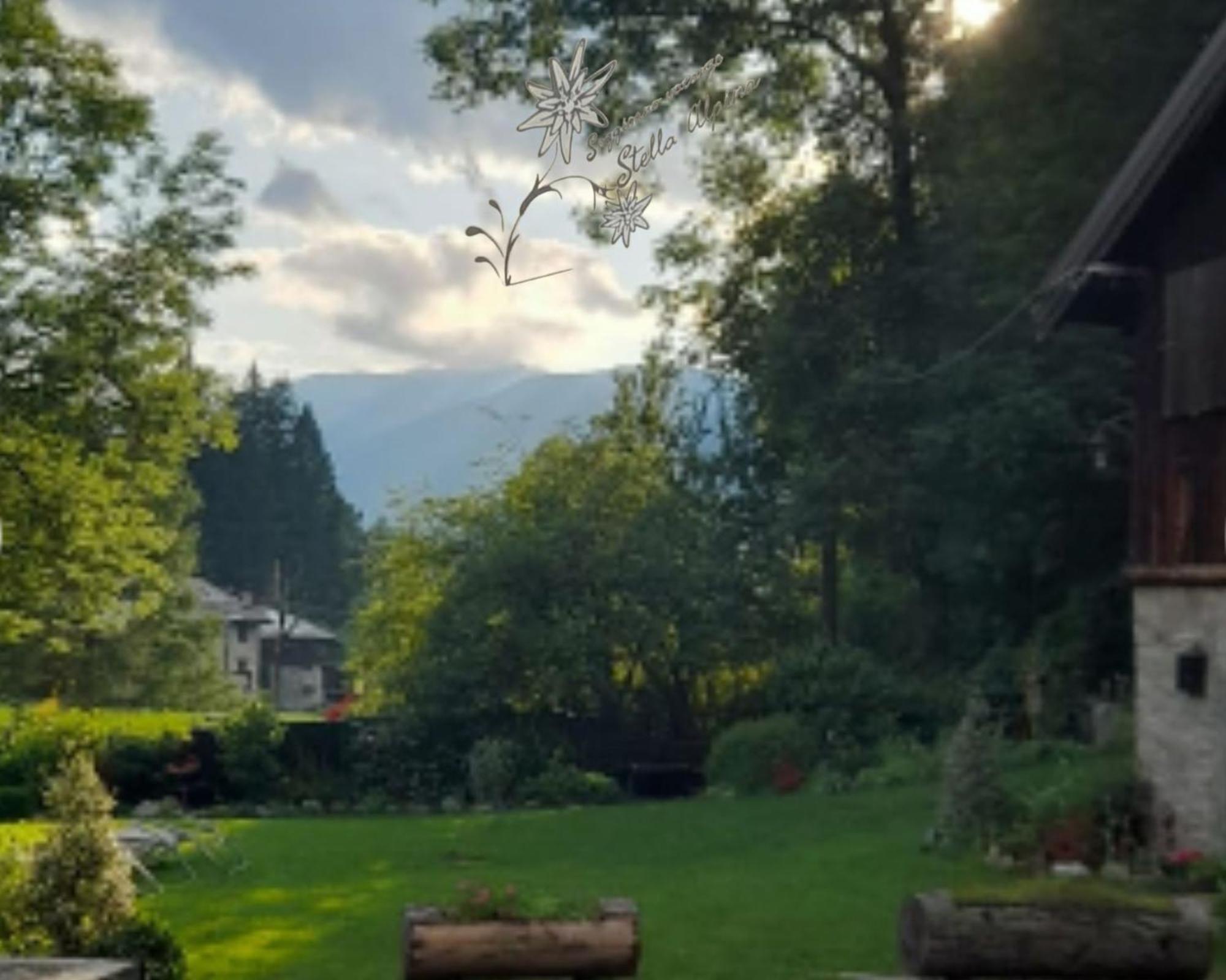 Soggiorno Vacanze Stella Alpina Temù Værelse billede