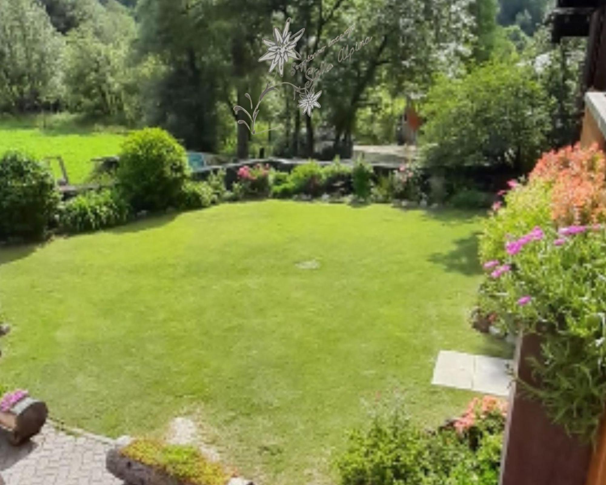 Soggiorno Vacanze Stella Alpina Temù Værelse billede
