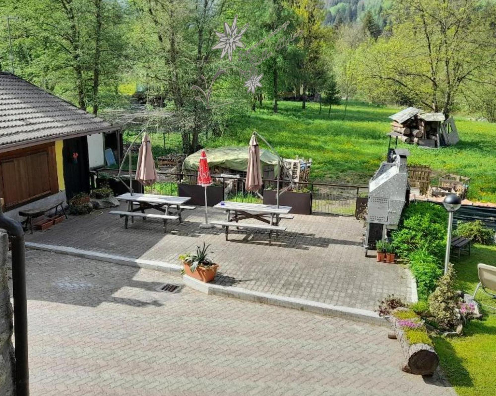 Soggiorno Vacanze Stella Alpina Temù Eksteriør billede