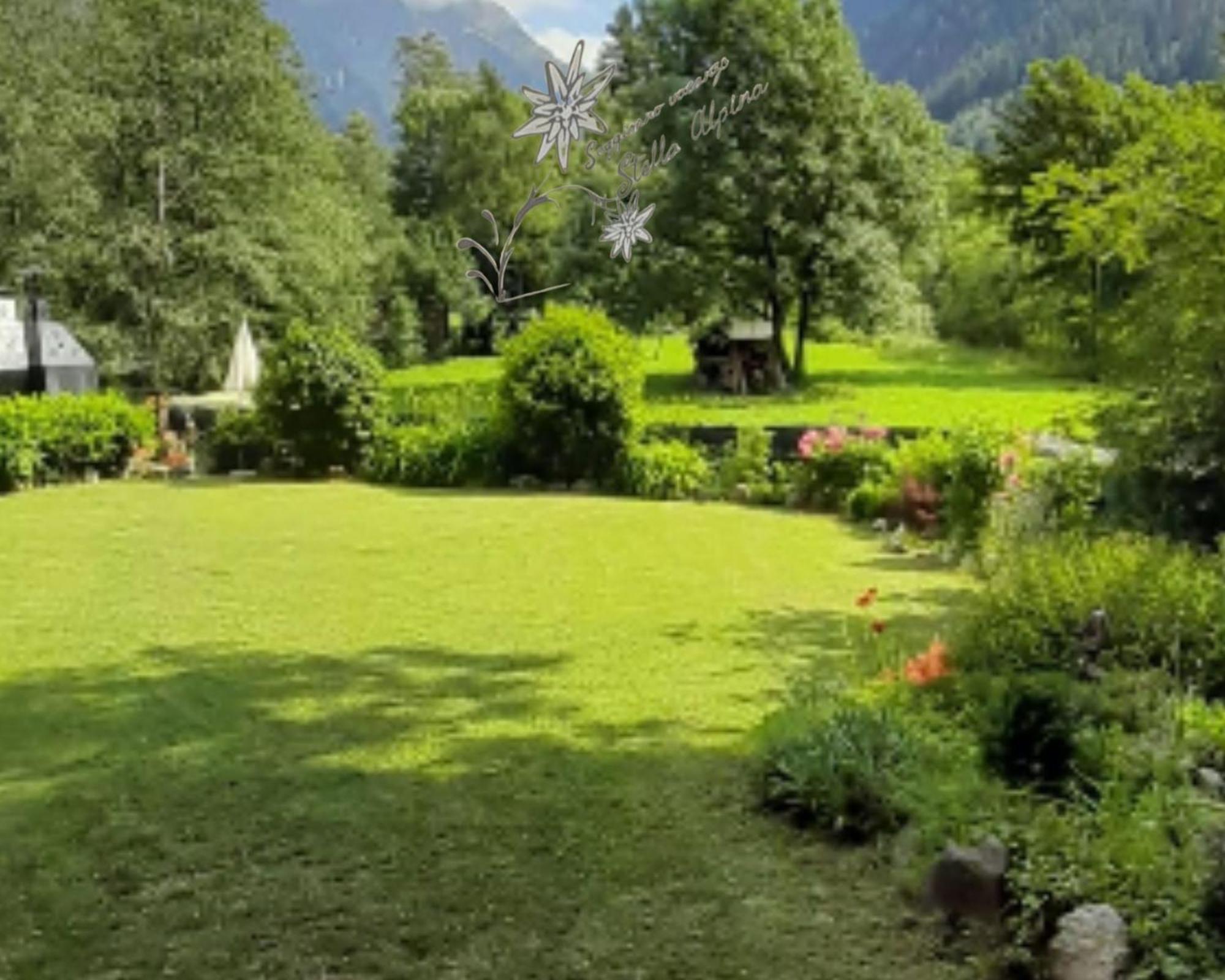 Soggiorno Vacanze Stella Alpina Temù Eksteriør billede